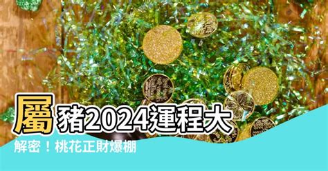 屬豬財位|【屬豬的年份】2024年屬豬者運勢大解析！歲數、幸運色、財位。